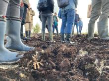 Boots on the ground at a peatland