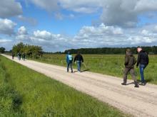 Participants walking at Turnhouts Vennengebied
